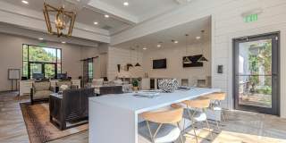 The Maddox Gallery 44