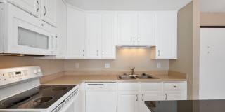 Sterling Ponds Gallery 9