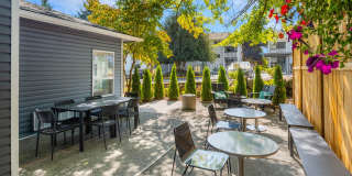 Desie Gallery 17