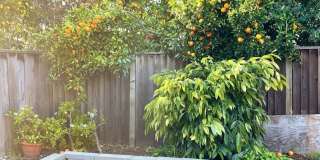 2365 Fallingtree Drive Gallery 8