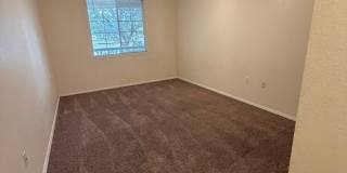 Beautiful 3 Bed, 2 Bath Condo in NW Fort Collins! Gallery 16