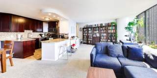 505 North Lake Shore Dr. Gallery 2