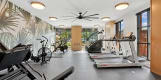 One Noda Park Gallery 32