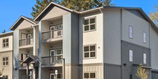 Alder Walk Gallery 1