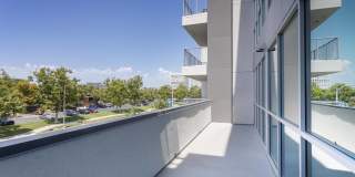 Elements Gallery 114