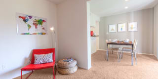 TGM Autumn Woods Gallery 6