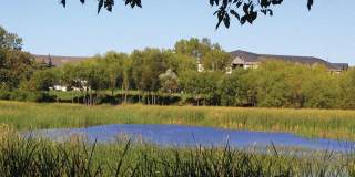 Parkside at Medicine Lake Gallery 17