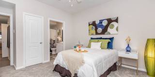 White Oak Gallery 50