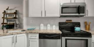 Emerald Palms Gallery 3