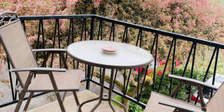 519 N Garden St Gallery 27