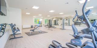 Atlantica Dania Beach Gallery 11