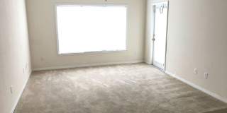 Beautiful 1-Bedroom Apartment for Rent in Mosaic at Millenia Gallery 4