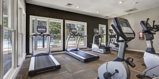 Harlowe Apartments Gallery 13