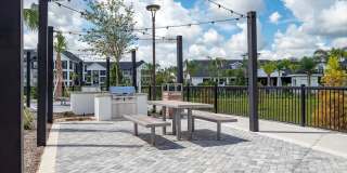 Alta Citron Gallery 88