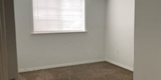 Terre View Gallery 11