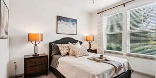 Park Avenue Apartments Gallery 36