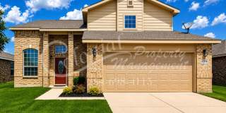 AVAILABLE SOON! Gallery 2