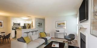 Palmetto Place Palmetto Place Gallery 19