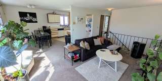 Spacious 3-Bedroom -- Available July 1st! Gallery 4