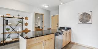 Student Housing - Solhaus Apartments & Tower Gallery 15