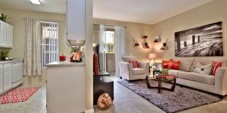 Summer Winds Gallery 21