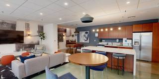 The Matisse Gallery 11