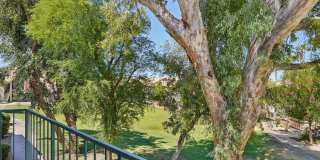Desert Oasis Gallery 25