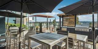 Arrive Magnolia Gallery 62