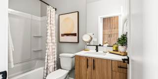 Sonita Gallery 45