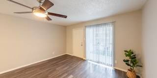 The Iris The Iris Gallery 3