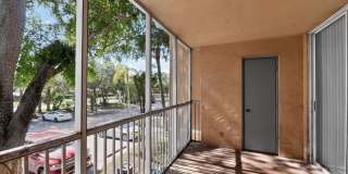 Palm Aire Windward Gallery 14