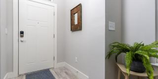 Mihir Taylor Gallery 24