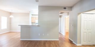 Saddle Creek Gallery 14