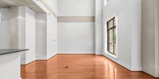 520 JOHN CARLYLE Street Gallery 11