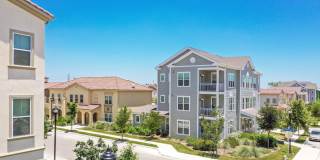 East Meadows Gallery 17