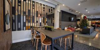Line 28 at LoHi Apartments Gallery 29