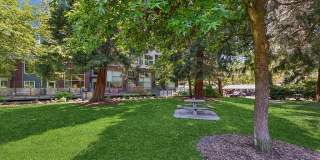 Riverpark Gallery 21