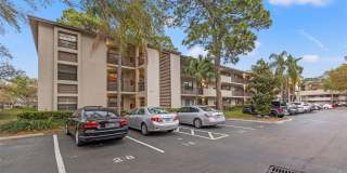 3038 EASTLAND BOULEVARD Gallery 1