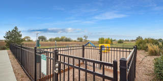 Solaire Apartments Gallery 28