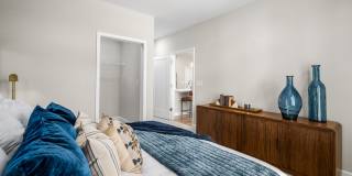 The Canopy Gallery 14