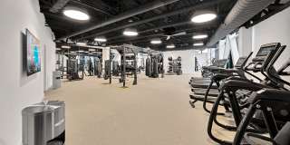 Triangle Square Gallery 10