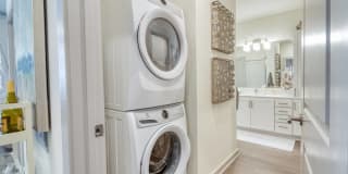 Meridian at the Port Gallery 31