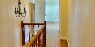3107 82nd Avenue Gallery 19