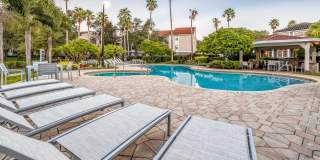 Arbors at Lee Vista Gallery 32