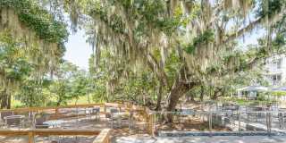 Overture West Ashley Age 55+ Apartment Homes Gallery 9