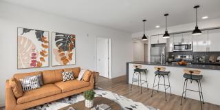 Sundodger Gallery 3