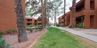 4704 E Paradise Village Parkway Gallery 42