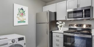 The Aurora Gallery 5