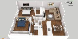 Spring Pine Gallery 41