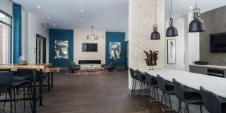 Alta Clara Gallery 17